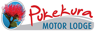 Contact Pukekura Motor Lodge